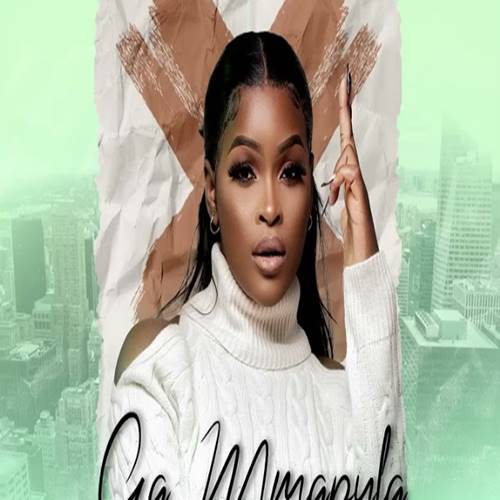 Shandesh - Ga Mmapula ft. Hitboss SA