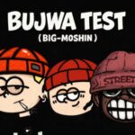 Magwe ZA - Bujwa Test ft. Thesiix