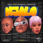 Nelz - Njalo ft. Moozile & Buzzi Lee