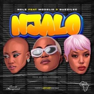 Nelz - Njalo ft. Moozile & Buzzi Lee