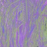 Omagoqa - Jumanji ft. Sizwe Alakine, K.Keed, JEPEDOH, Mvelo Makhanya & Ms. Cosmo