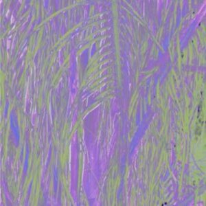 Omagoqa - Jumanji ft. Sizwe Alakine, K.Keed, JEPEDOH, Mvelo Makhanya & Ms. Cosmo